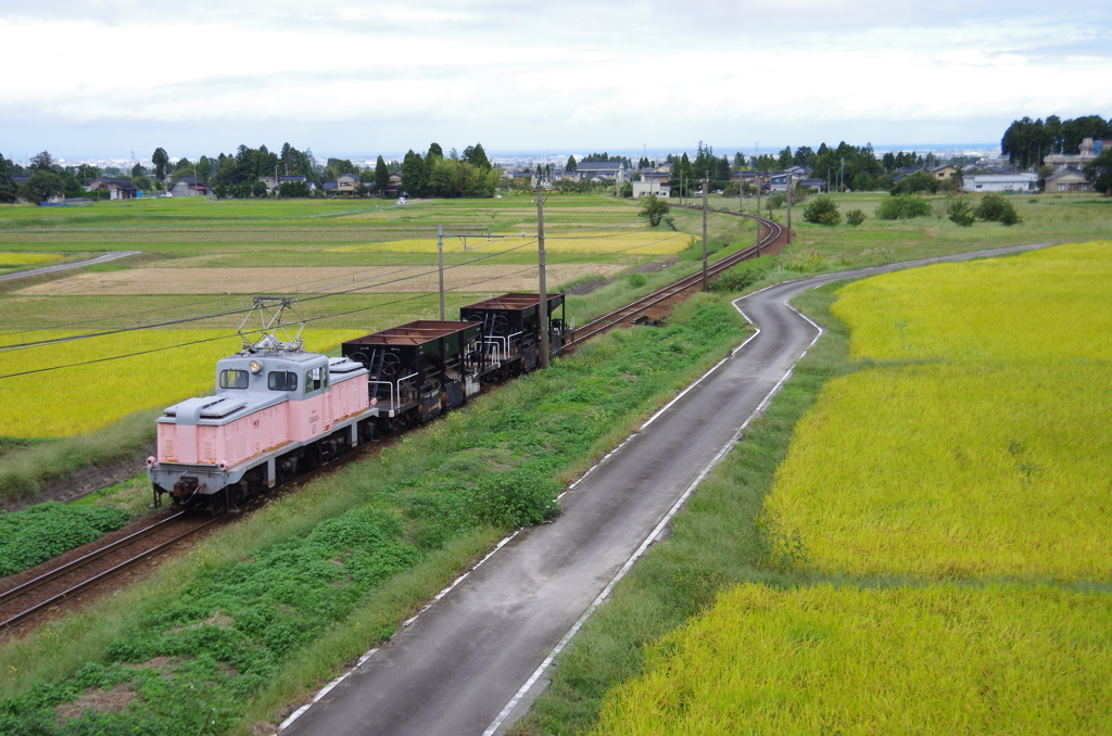 トロッコ列車？