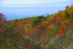 立山紅葉・富山平野