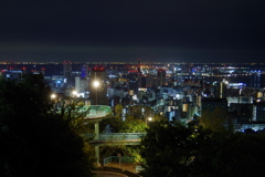 神戸ビーナスブリッジ②