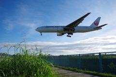 JAL