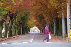横断