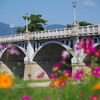 武庫大橋