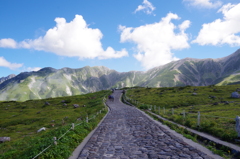 山を目指して歩く