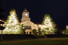 関西学院大学クリスマスツリー