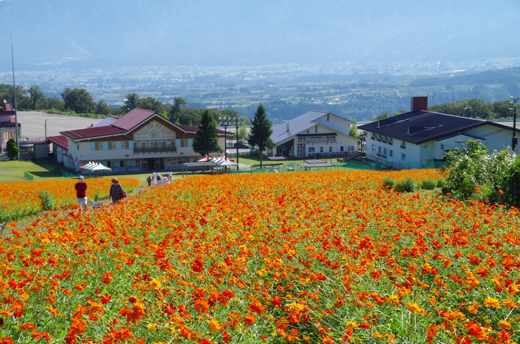 南砺市のスキー場