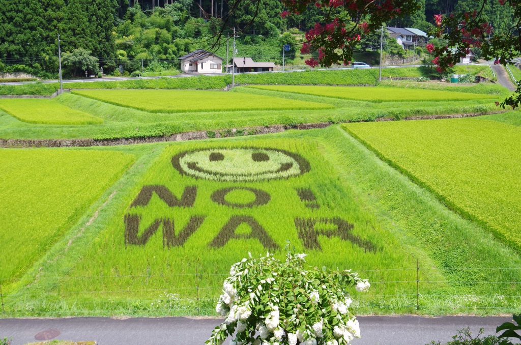 田んぼアート