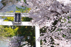 羽生結弦の神社