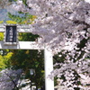 羽生結弦の神社