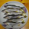 鮎