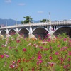 武庫大橋
