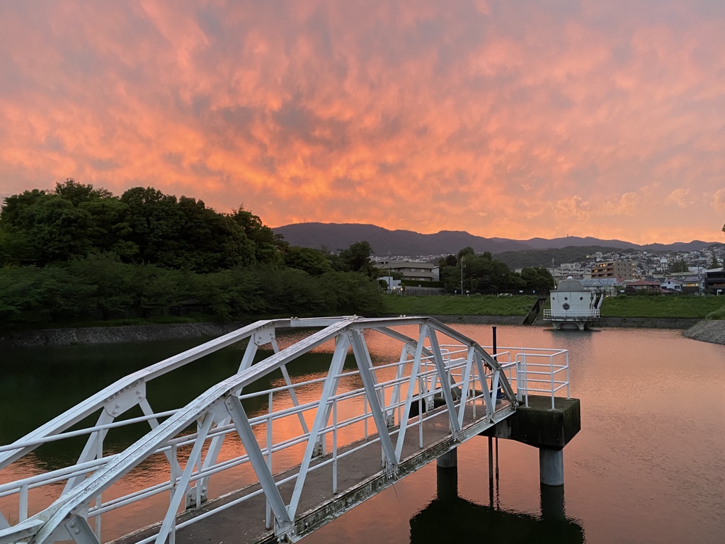 池の夕焼け