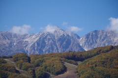 山