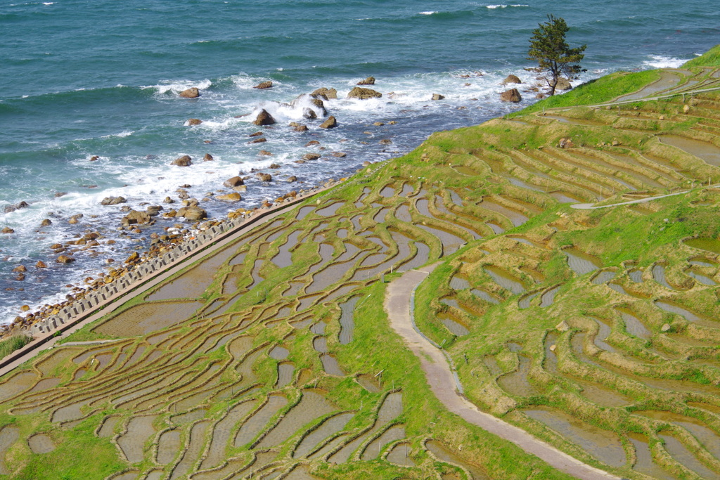 能登の棚田