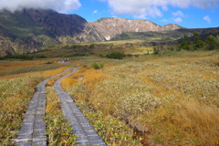 弥陀ヶ原の木道