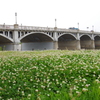 武庫大橋