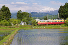 残雪と田んぼ