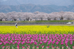 花花