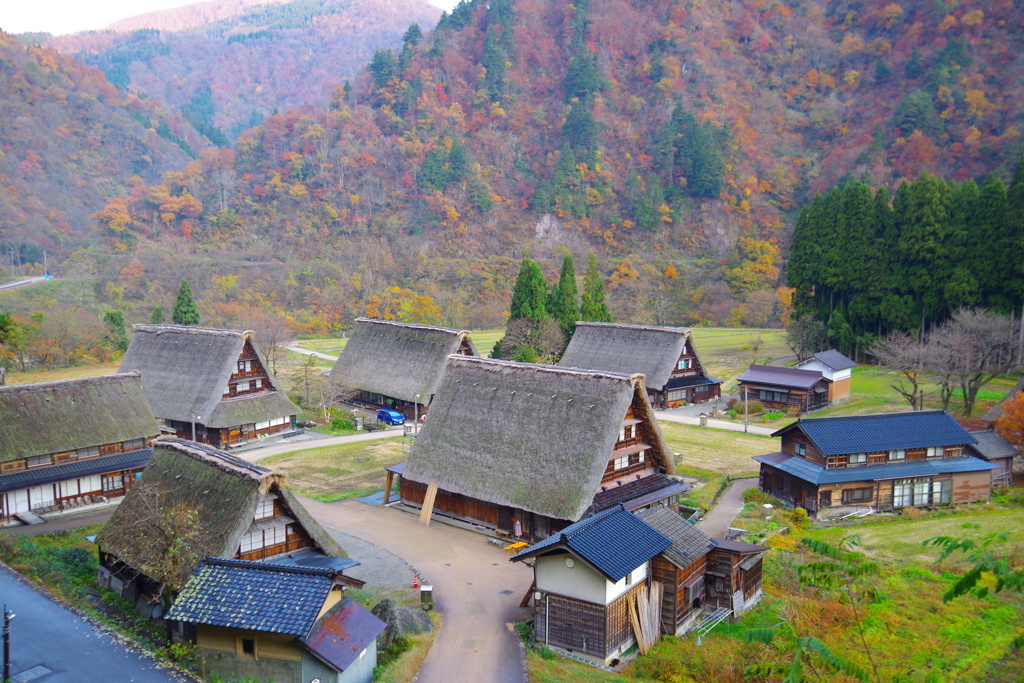 菅沼合掌造り