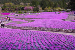 花のじゅうたん