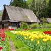 五箇山の春