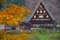 合掌造り②