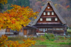 合掌造り②