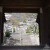 神呪寺の桜と階段