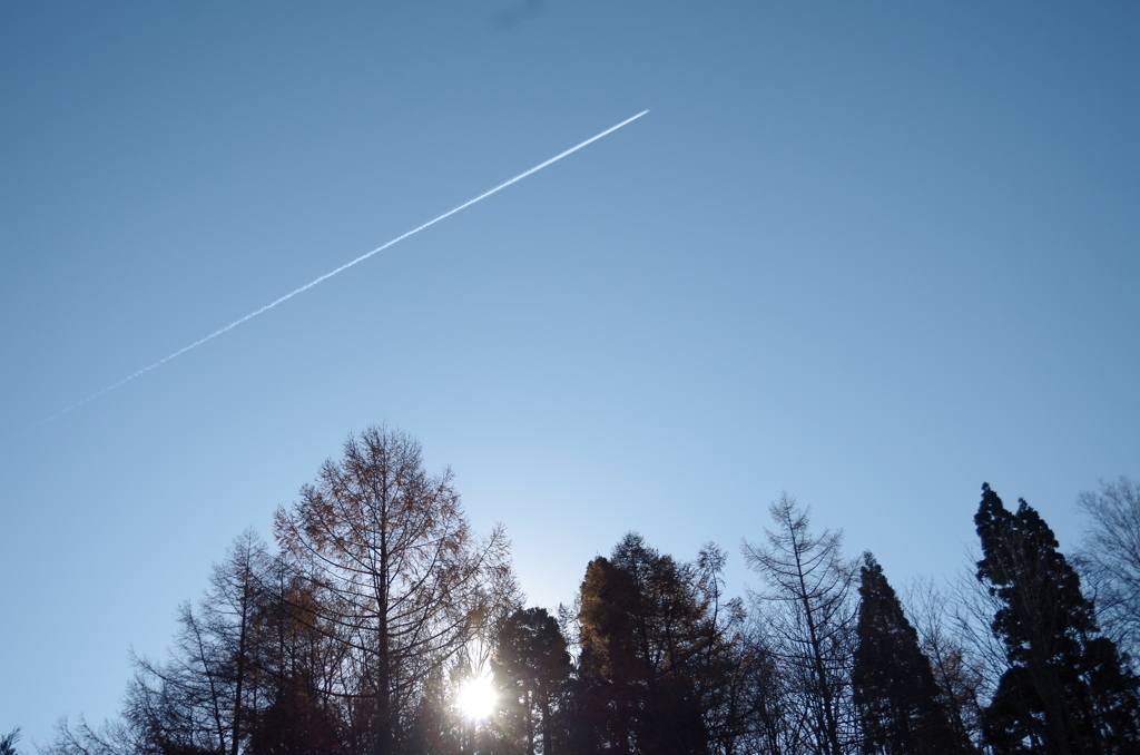 月別売上と累計