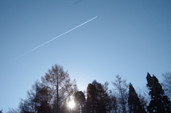 月別売上と累計