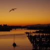 夜明け前