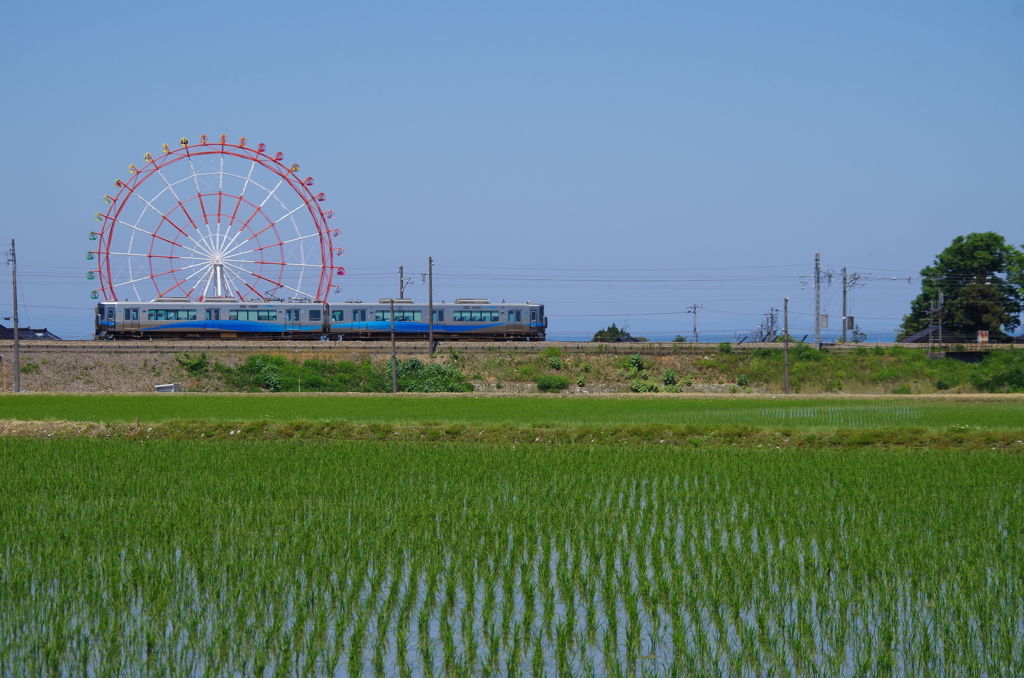鉄のカタツムリ