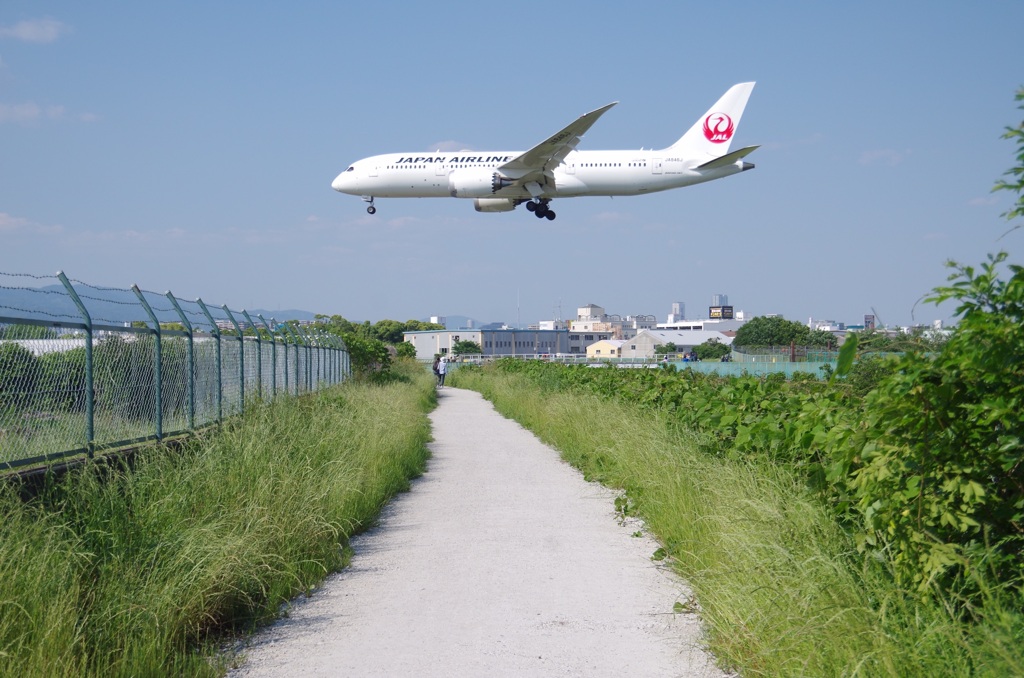 聖地への路