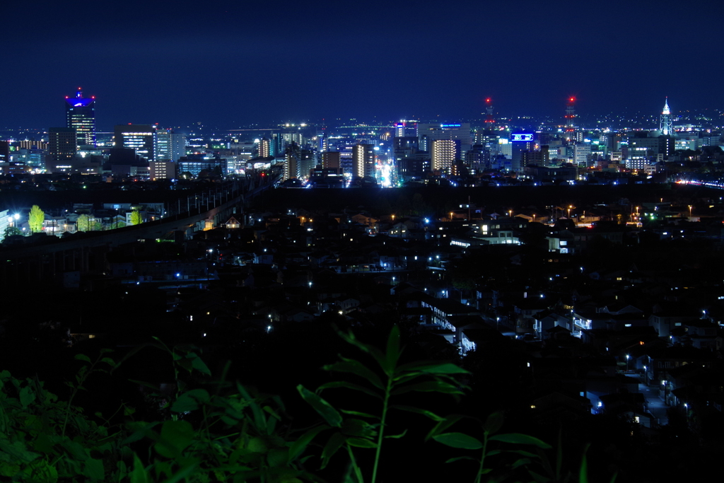 富山市街の夜景