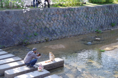 はい、チーズ！