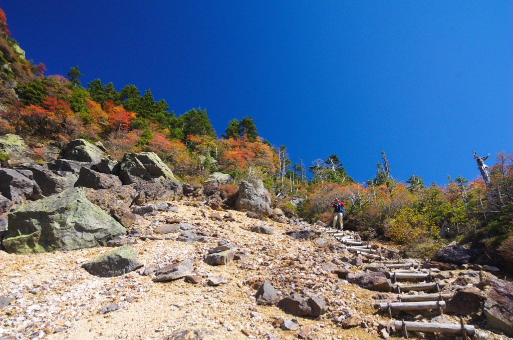 赤石山山頂付近の紅葉