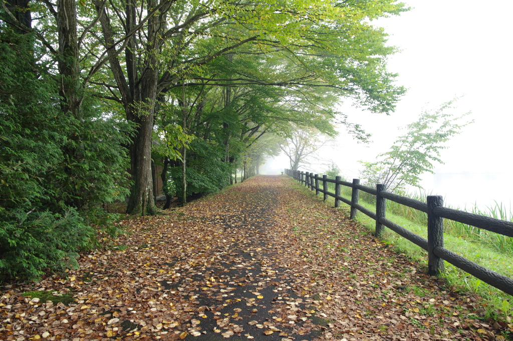 秋霧の小道