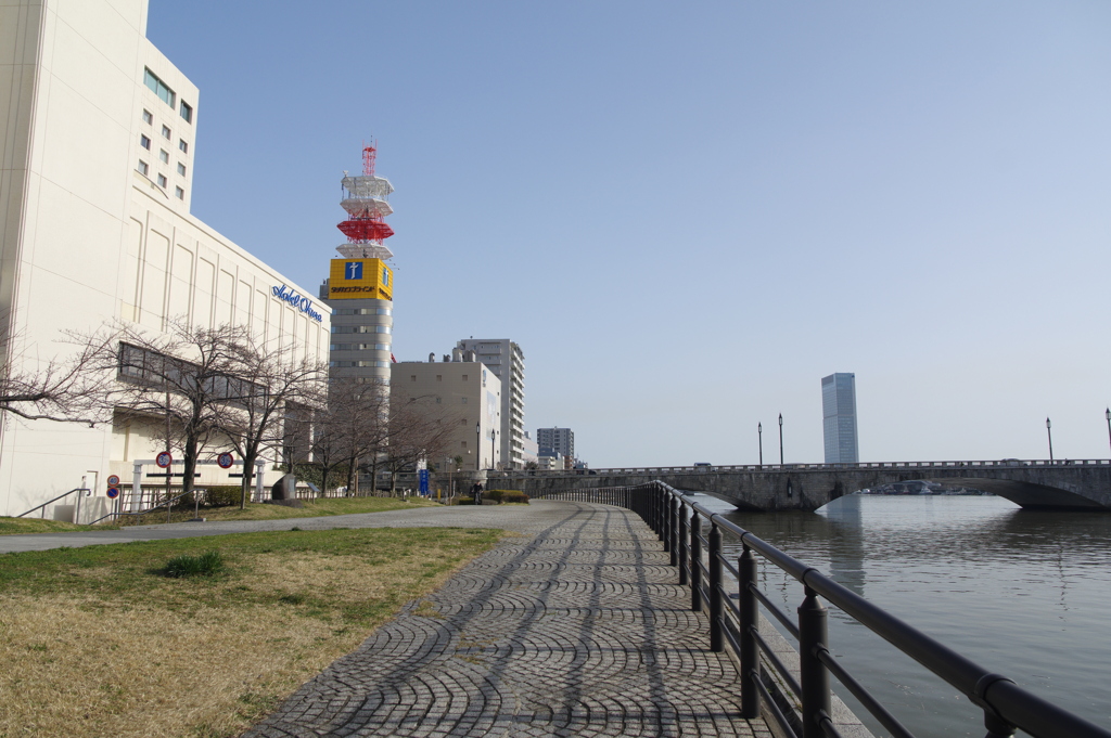 見たことあるかも
