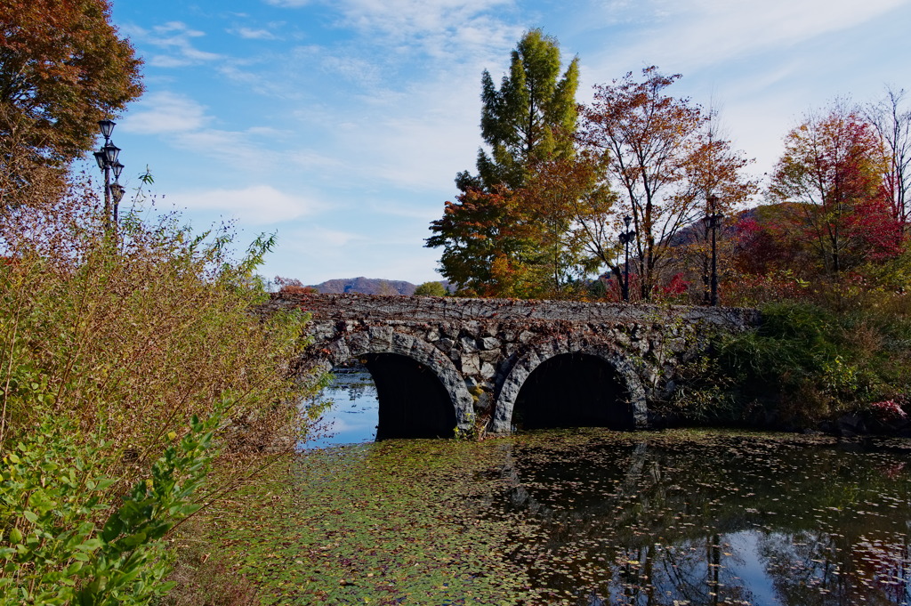 頑丈そうな橋