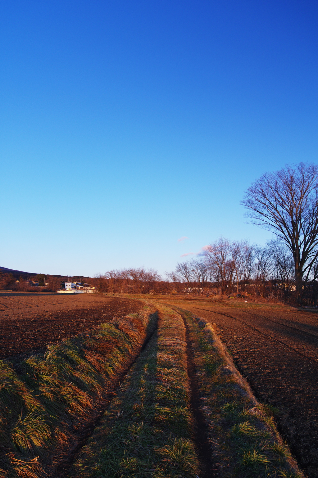 元日の夕景
