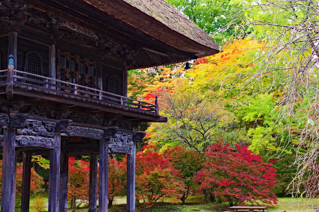 霊松寺山門紅葉