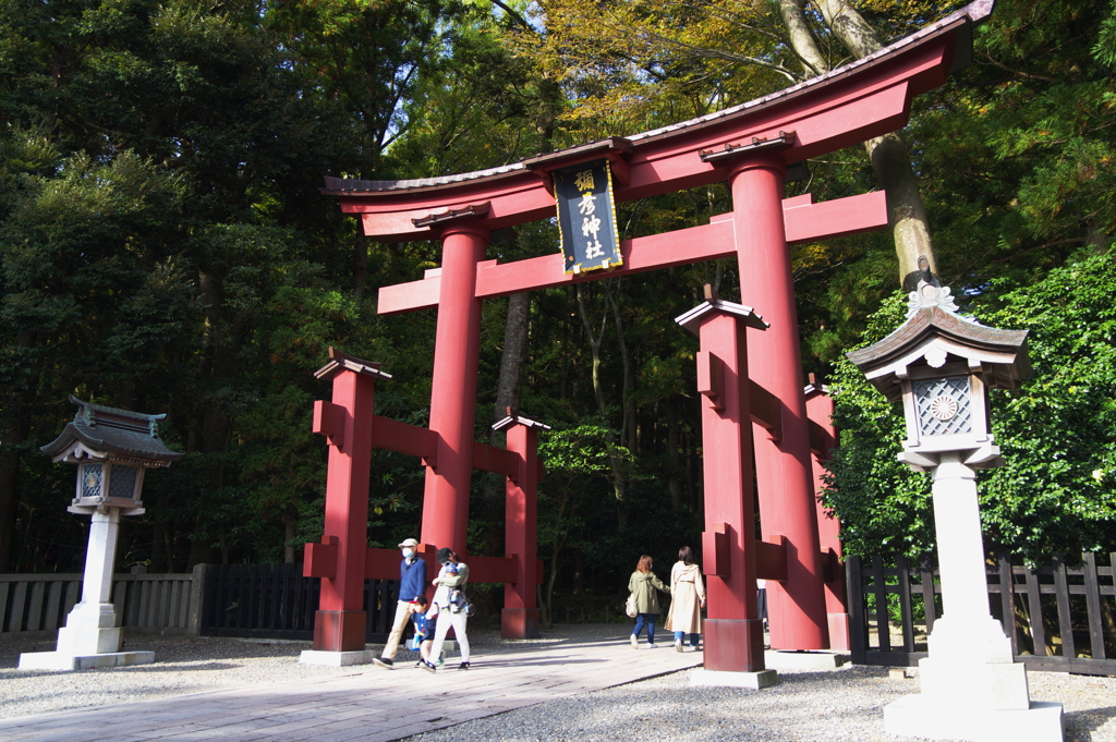 弥彦神社鳥居全景