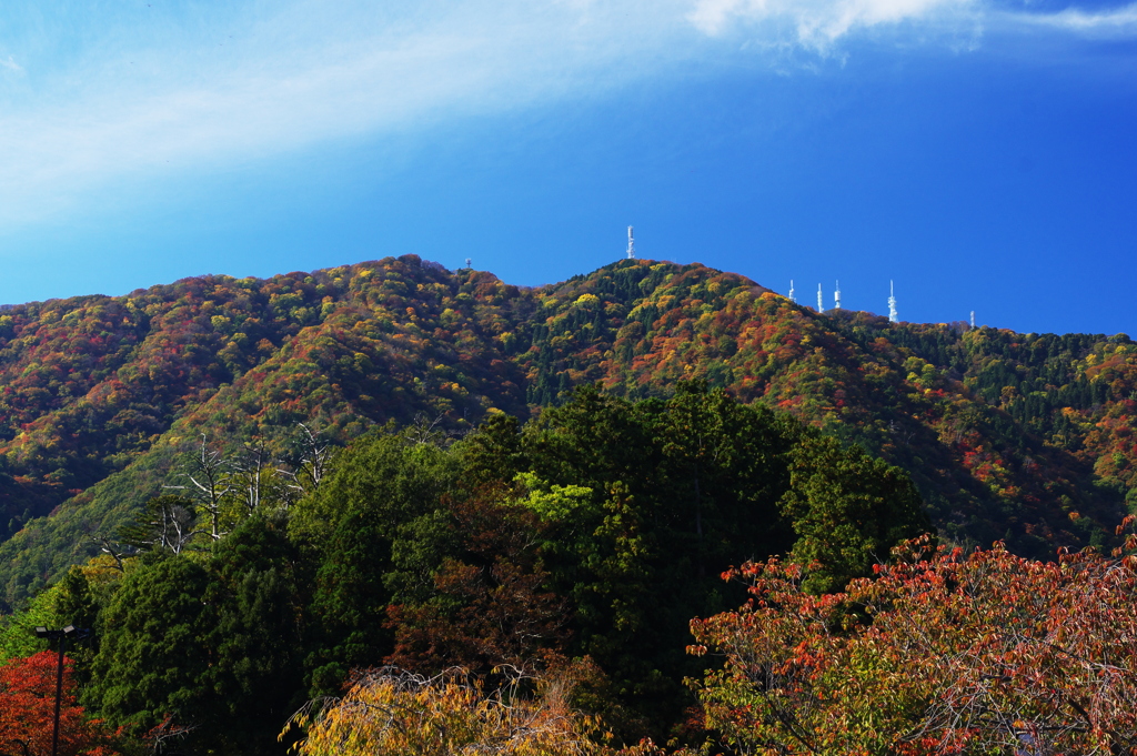 弥彦山