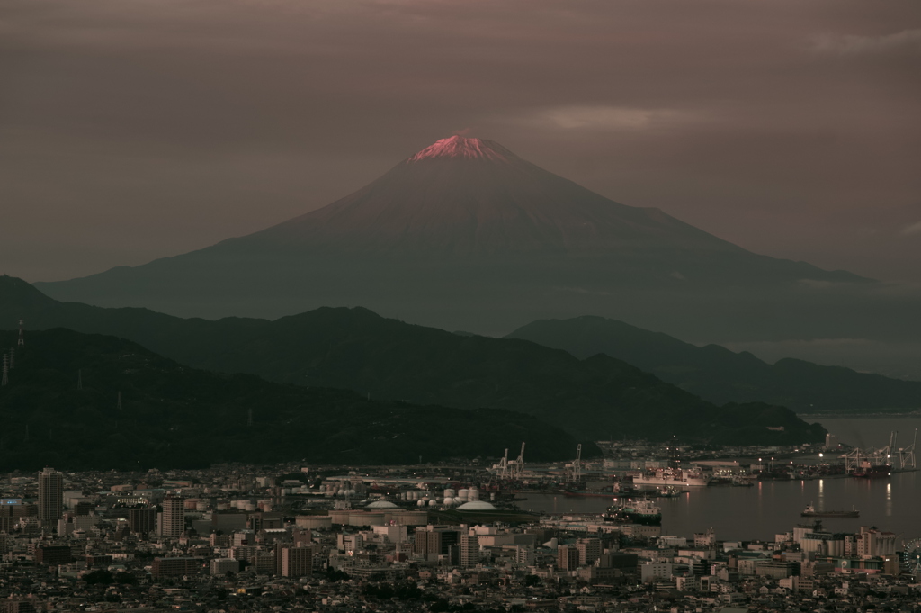 冠紅