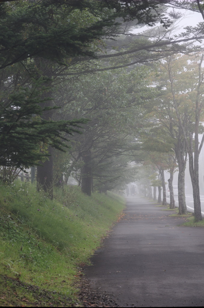 秋霧の歩道