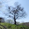 Dncing