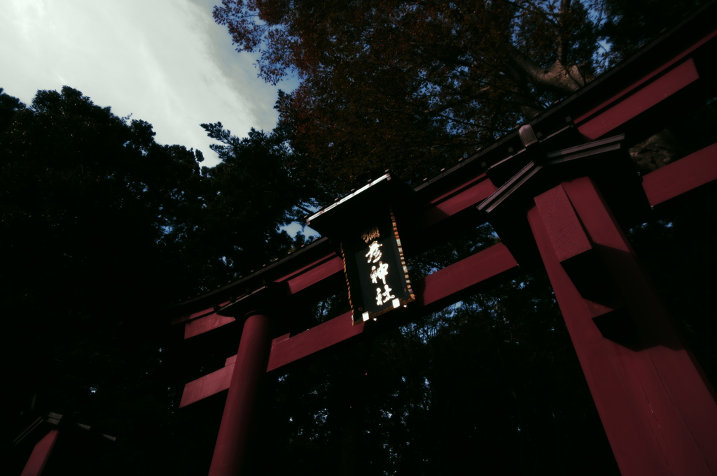 Another弥彦神社鳥居