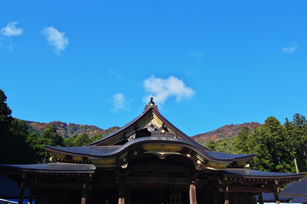 弥彦神社社殿秋景