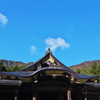 弥彦神社社殿秋景