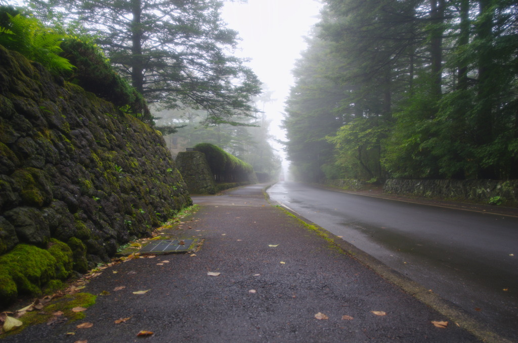 秋霧の街路