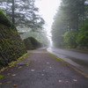 秋霧の街路